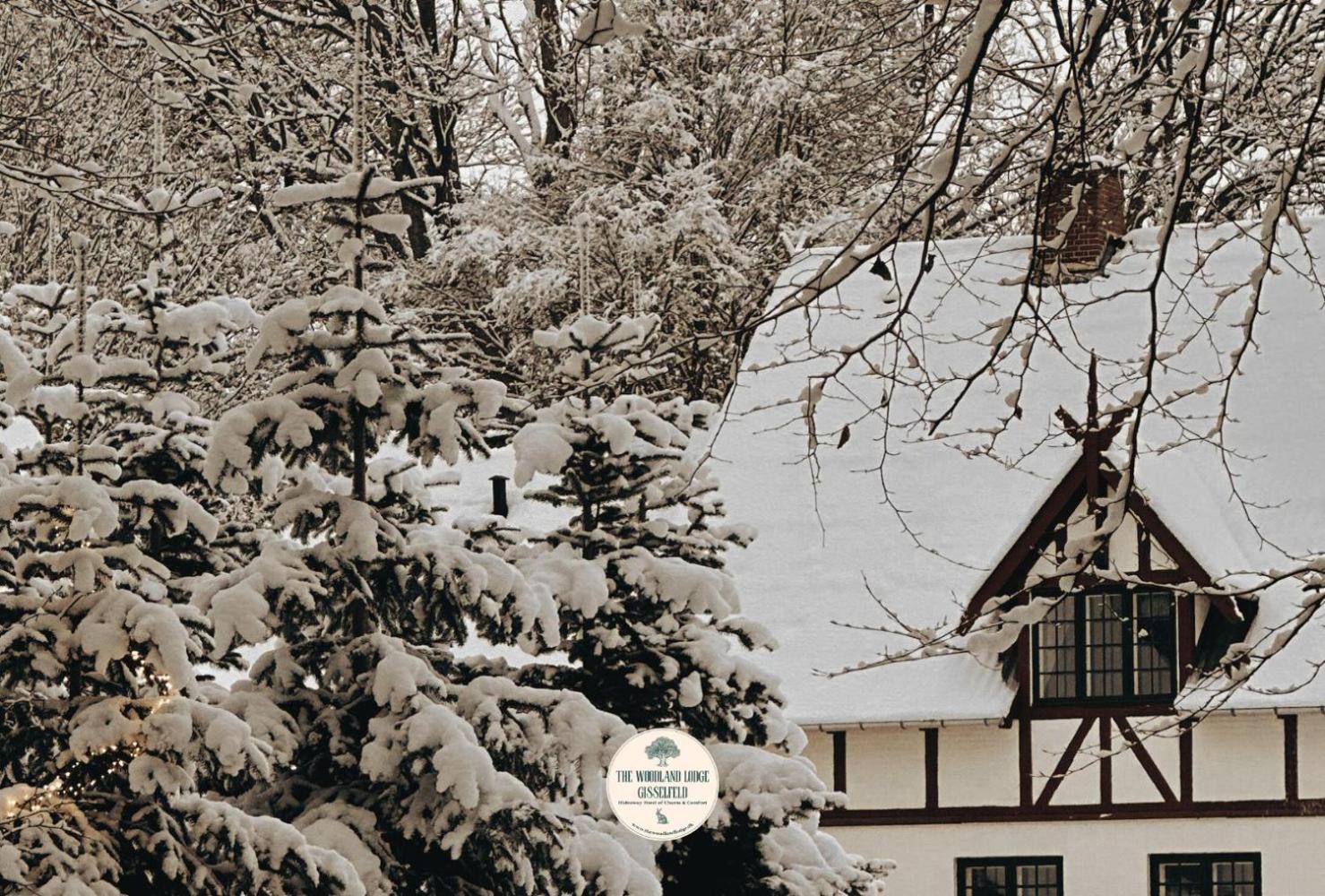 The Woodland Gisselfeld Lodge