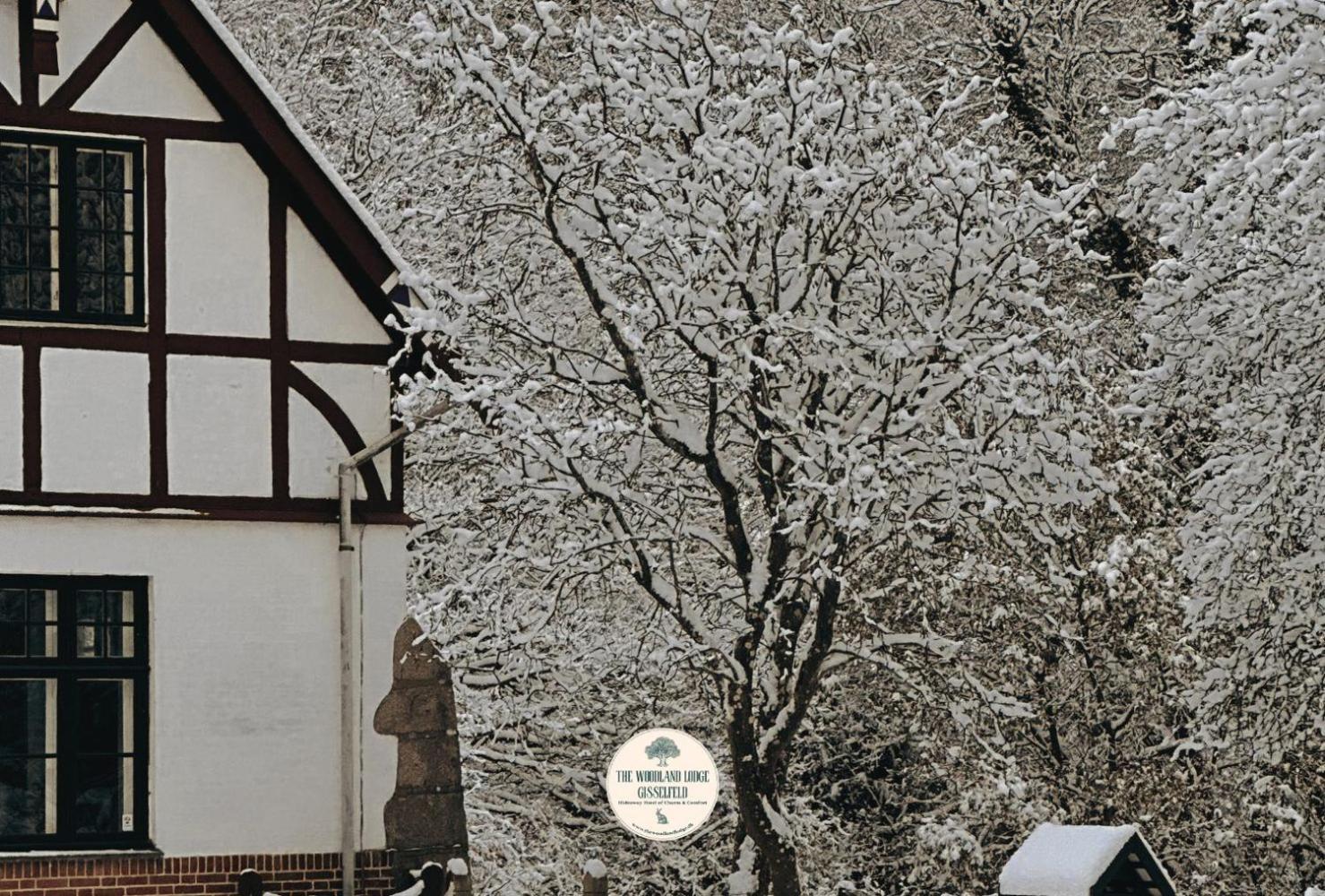 Lodge The Woodland Gisselfeld Haslev