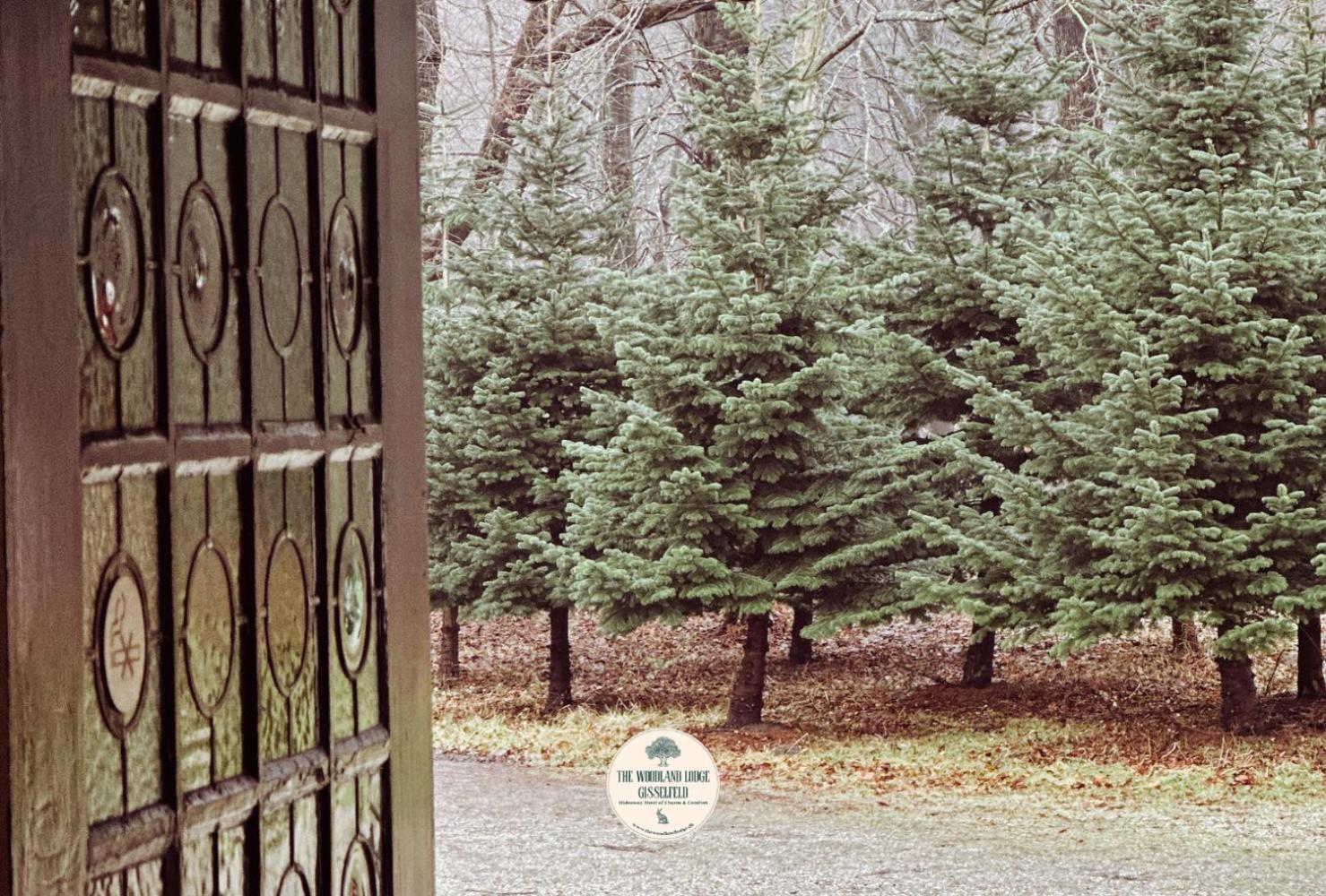 Lodge The Woodland Gisselfeld *